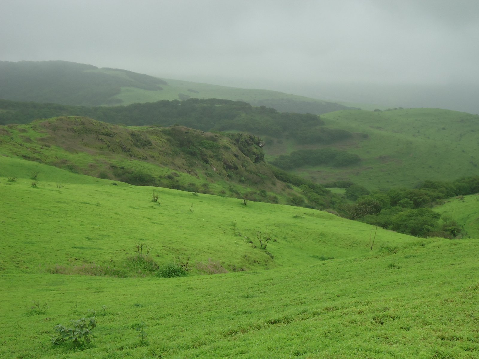 Ayn Sahalnoot